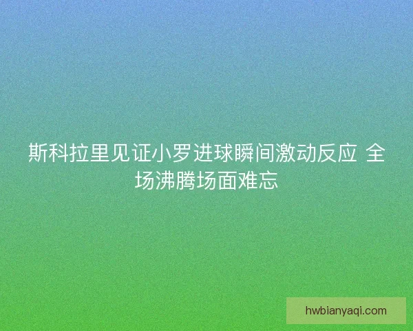 斯科拉里见证小罗进球瞬间激动反应 全场沸腾场面难忘